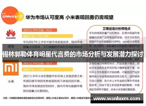 锡林郭勒体育明星代言费的市场分析与发展潜力探讨